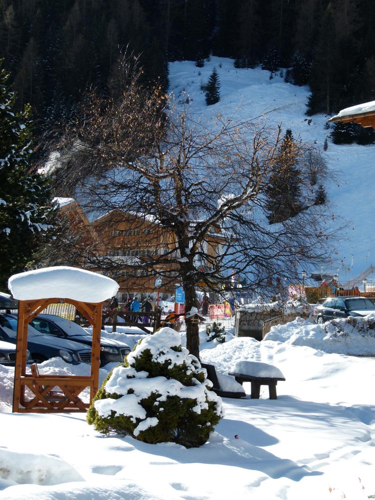 Hotel Chalet Elisabeth Dolomites Alpin & Charme Selva di Val Gardena Exteriér fotografie